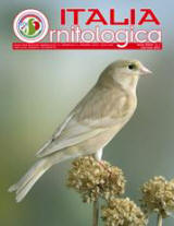 Italia Ornitologica
